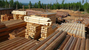 Правильная заготовка бревна для строительства дома